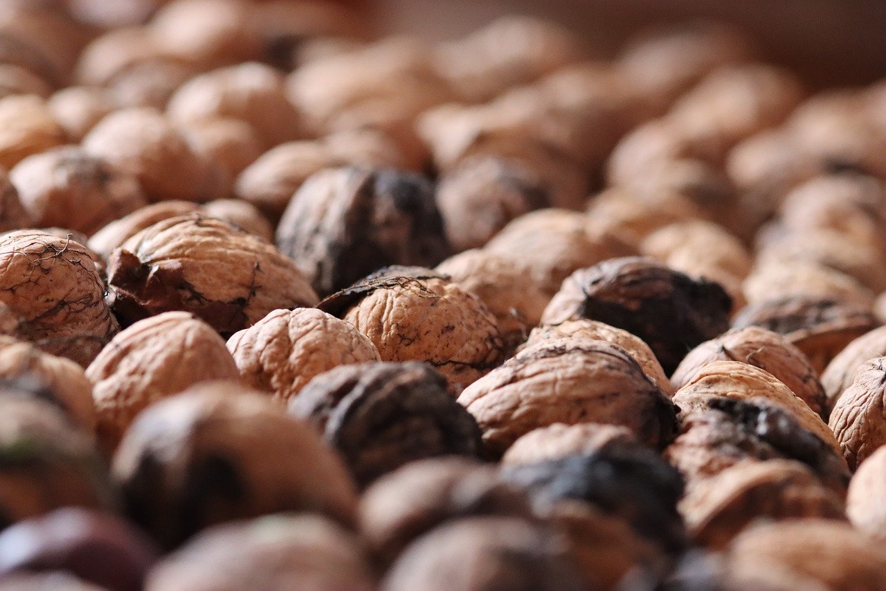 如何识别和防范医疗器械金融计划中的黑客攻击