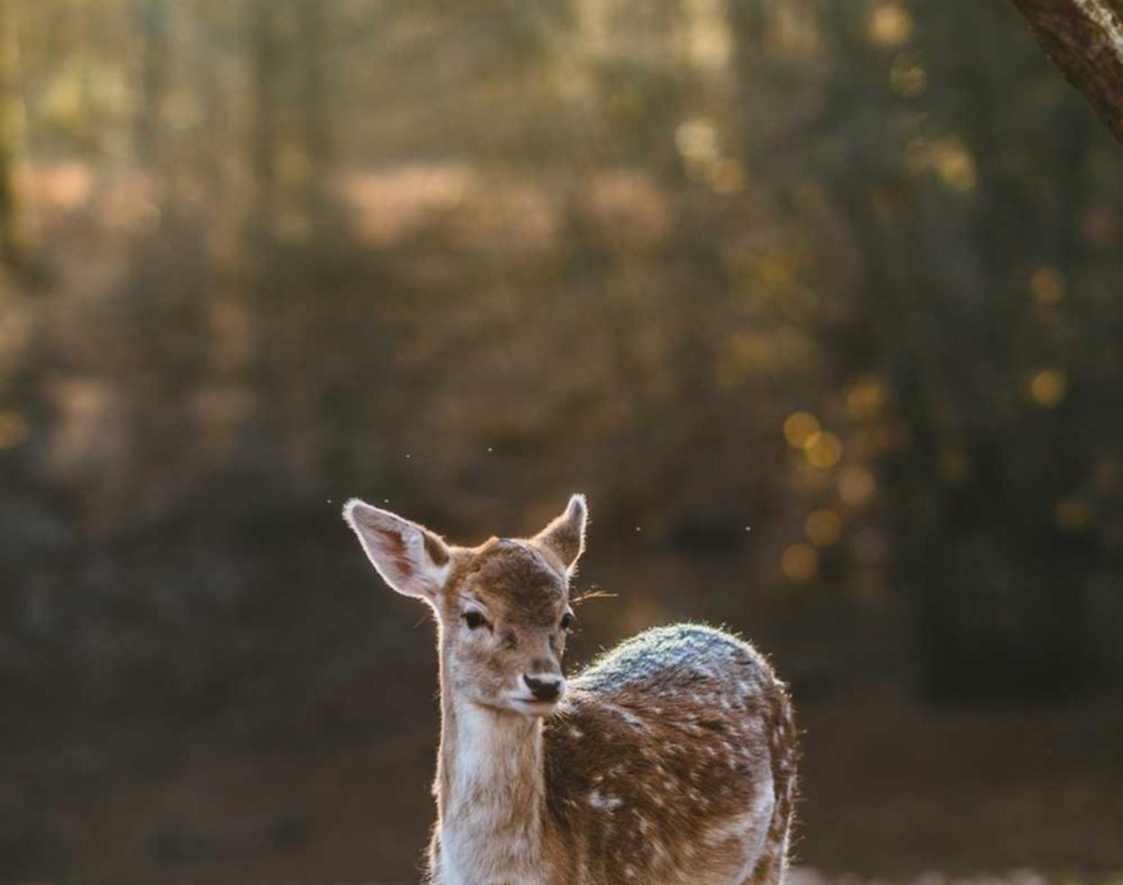 和天下娱乐，注册|代理注册内资公司注册