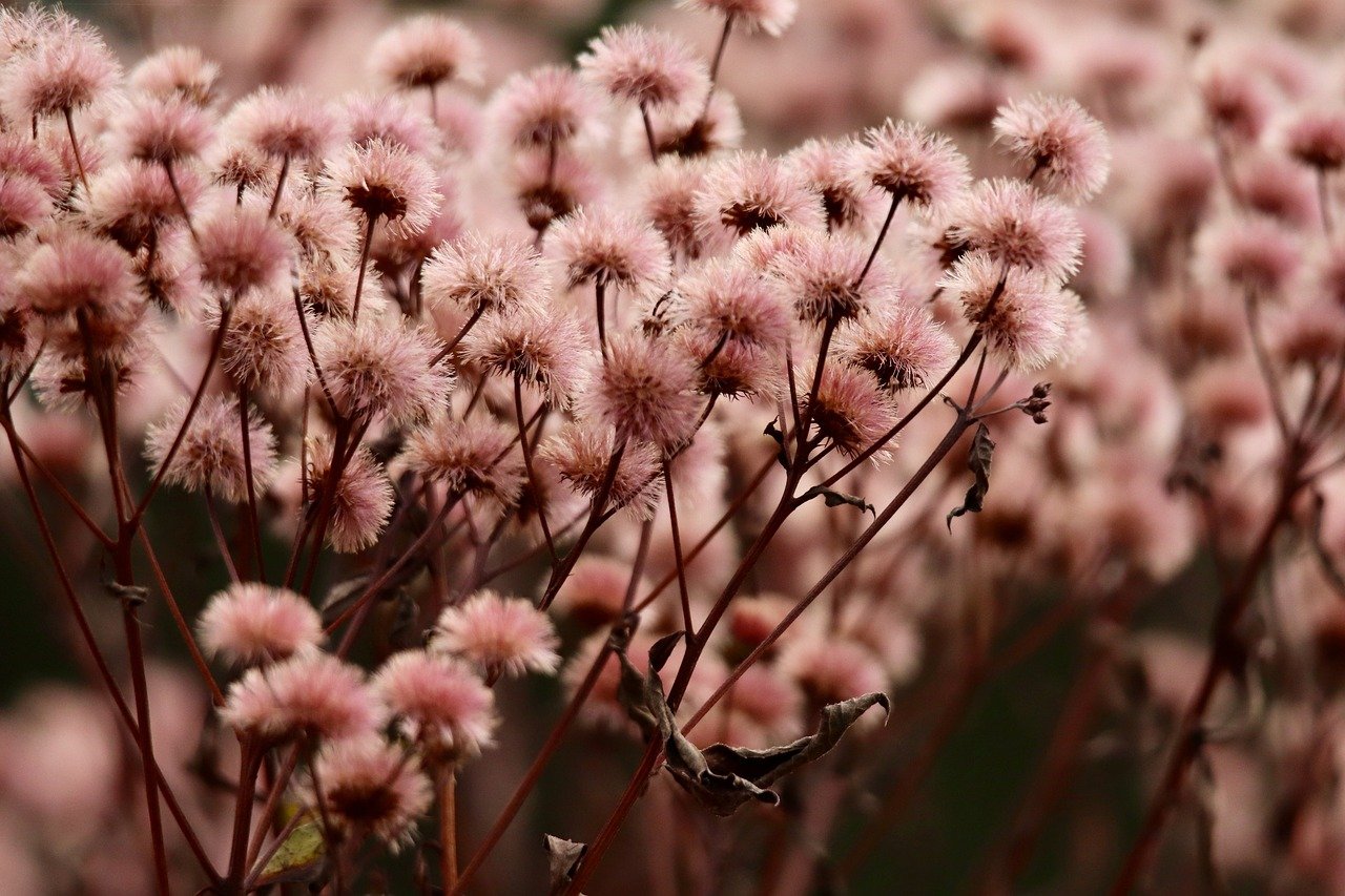 实名QQ号买卖：温州代理工商注册费