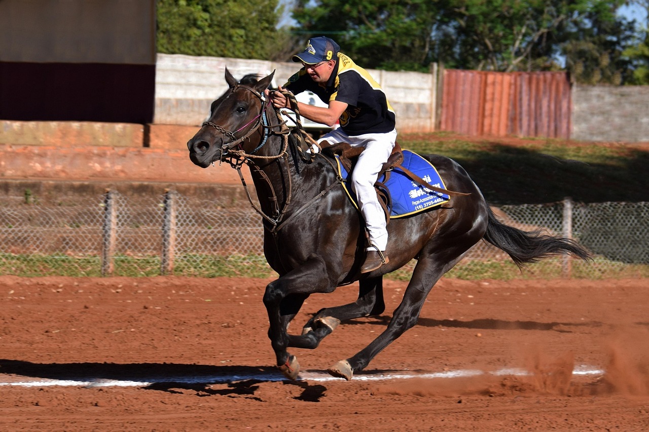 微信号买卖渠道：进口糖果购买平台