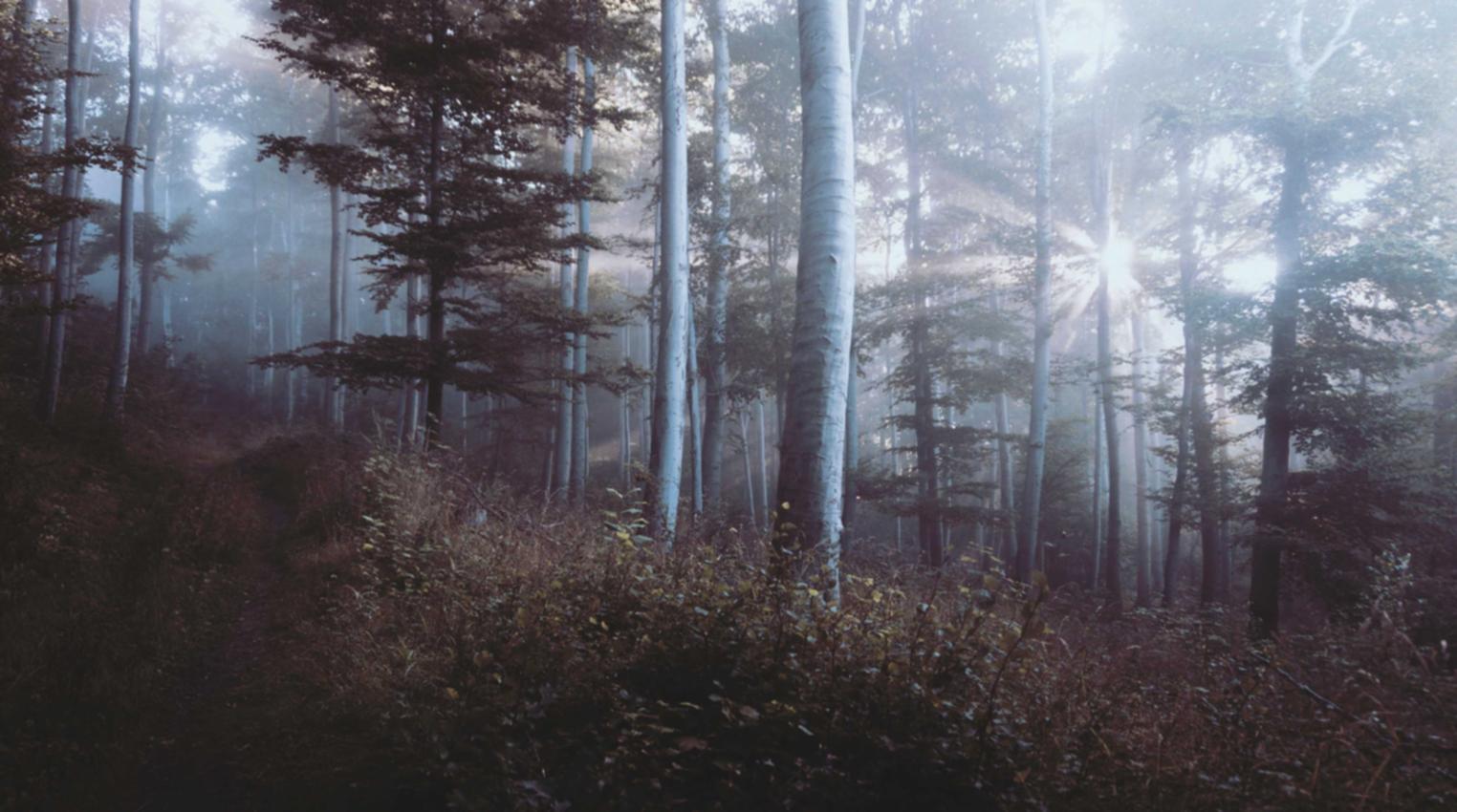 又拍云实名账号:配资开户找专业平台