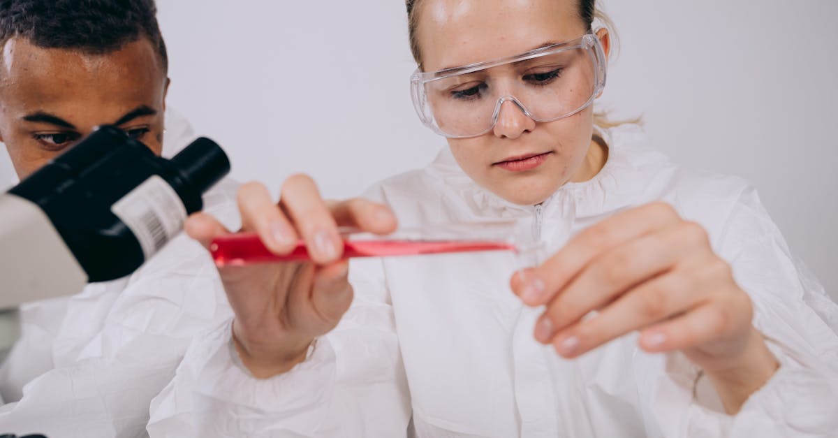 白号发卡网:南湖国旅app详情下载教程