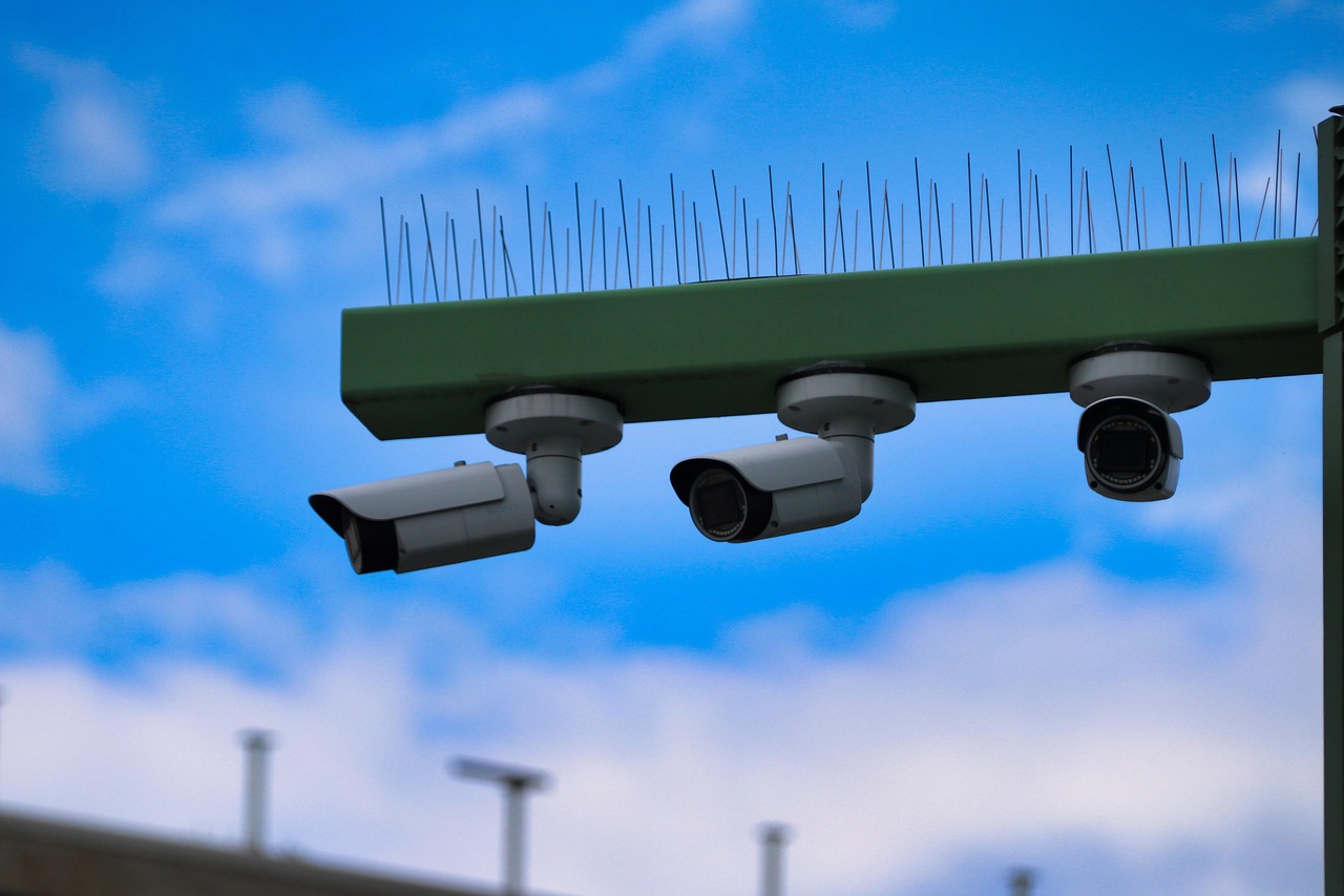 逆向算法：深入理解软件背后的数学原理