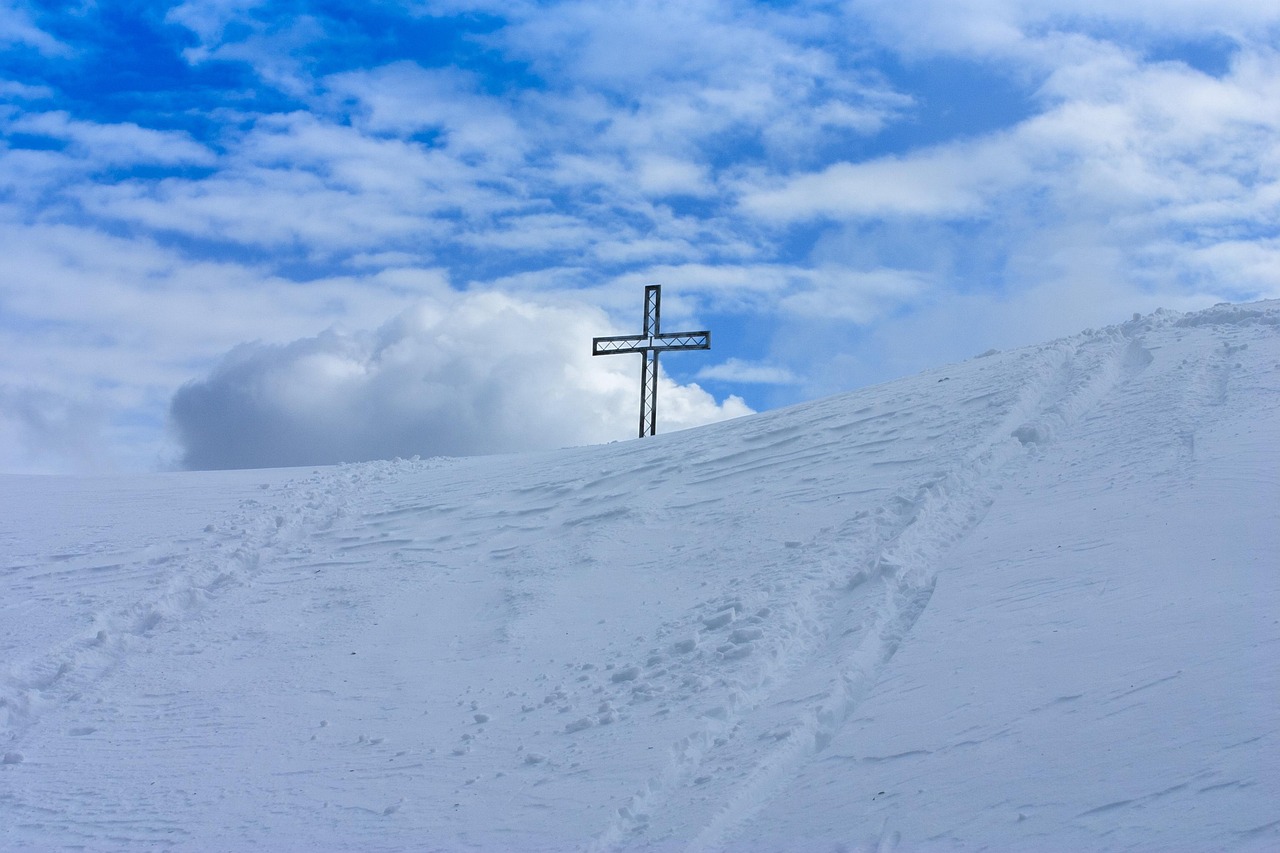 星火招标代理网络平台