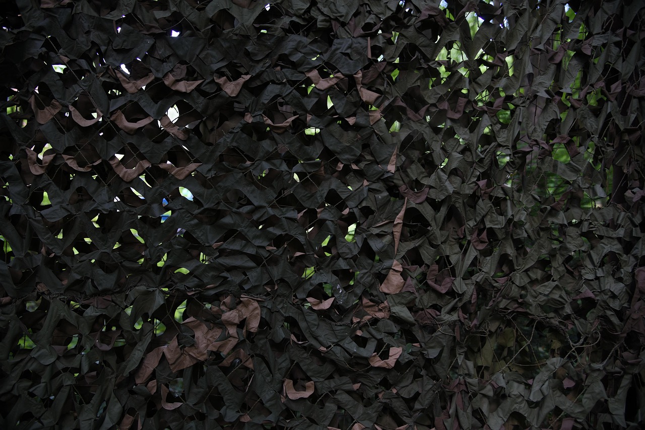 阿凡提绿豆:申请医疗器械注册代理公司