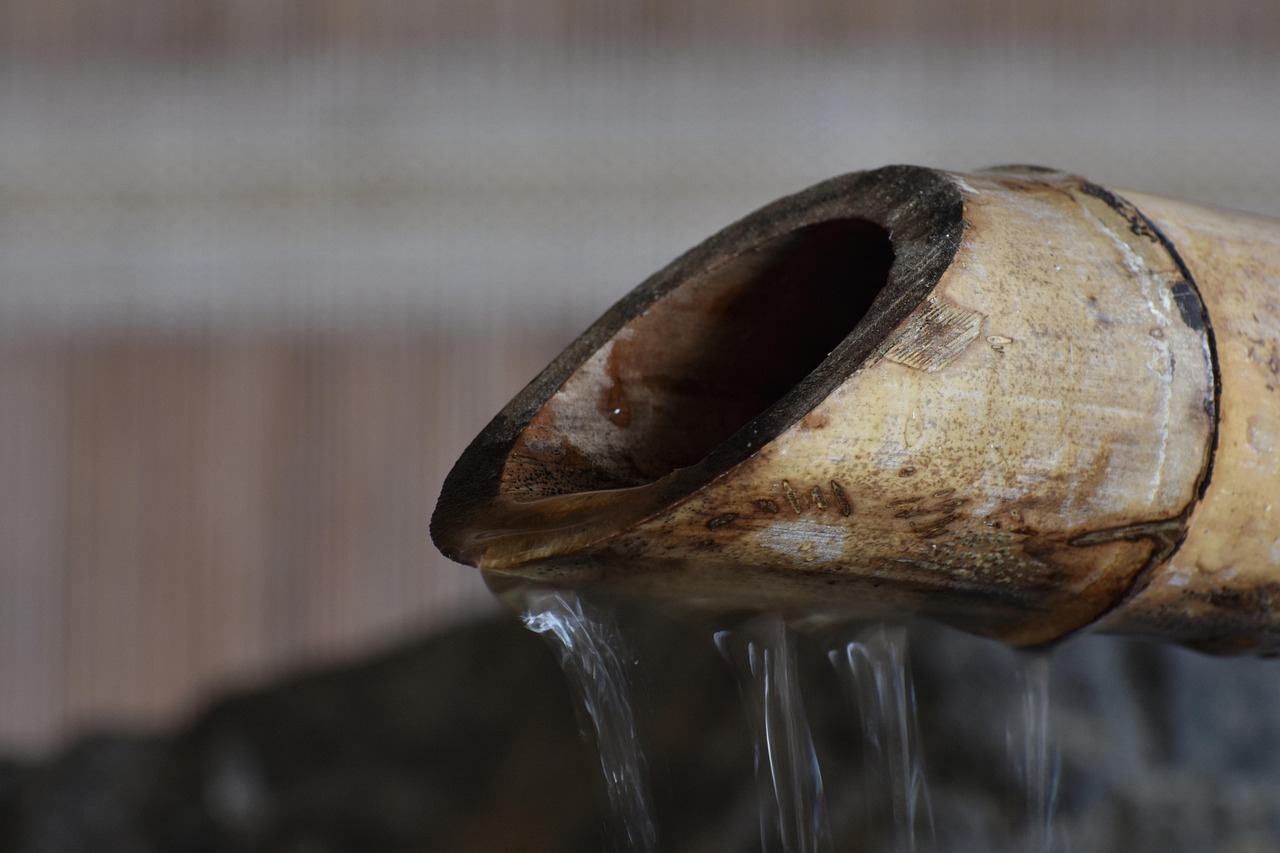 技术支持辅助的发展趋势和未来发展方向